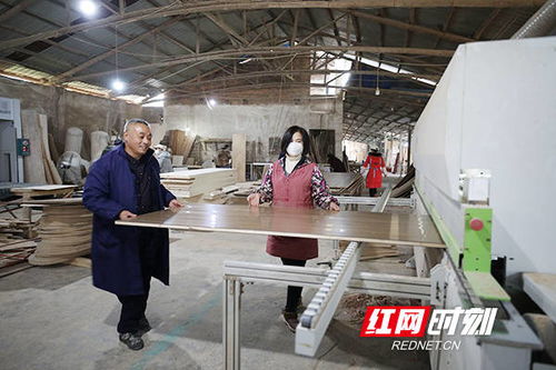 精准帮扶促脱贫，职业中介助力珠晖区酃湖乡圆满收官