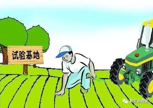 丹寨县人大常委会精准帮扶洋浪村 从“土生土长”到“两大家”的职业中介探索