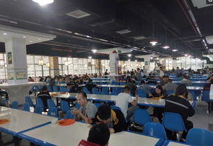 深圳职场陷阱实录 黑中介、黑工厂、黑工与黑房东